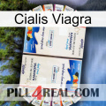 Cialis Viagra kamagra1